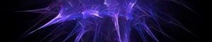 IMAGEN GESTA2