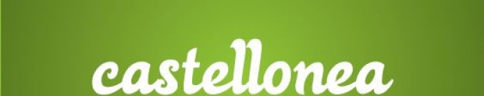 castellonea.com