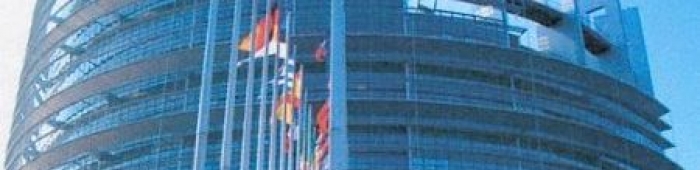 ceei castelln